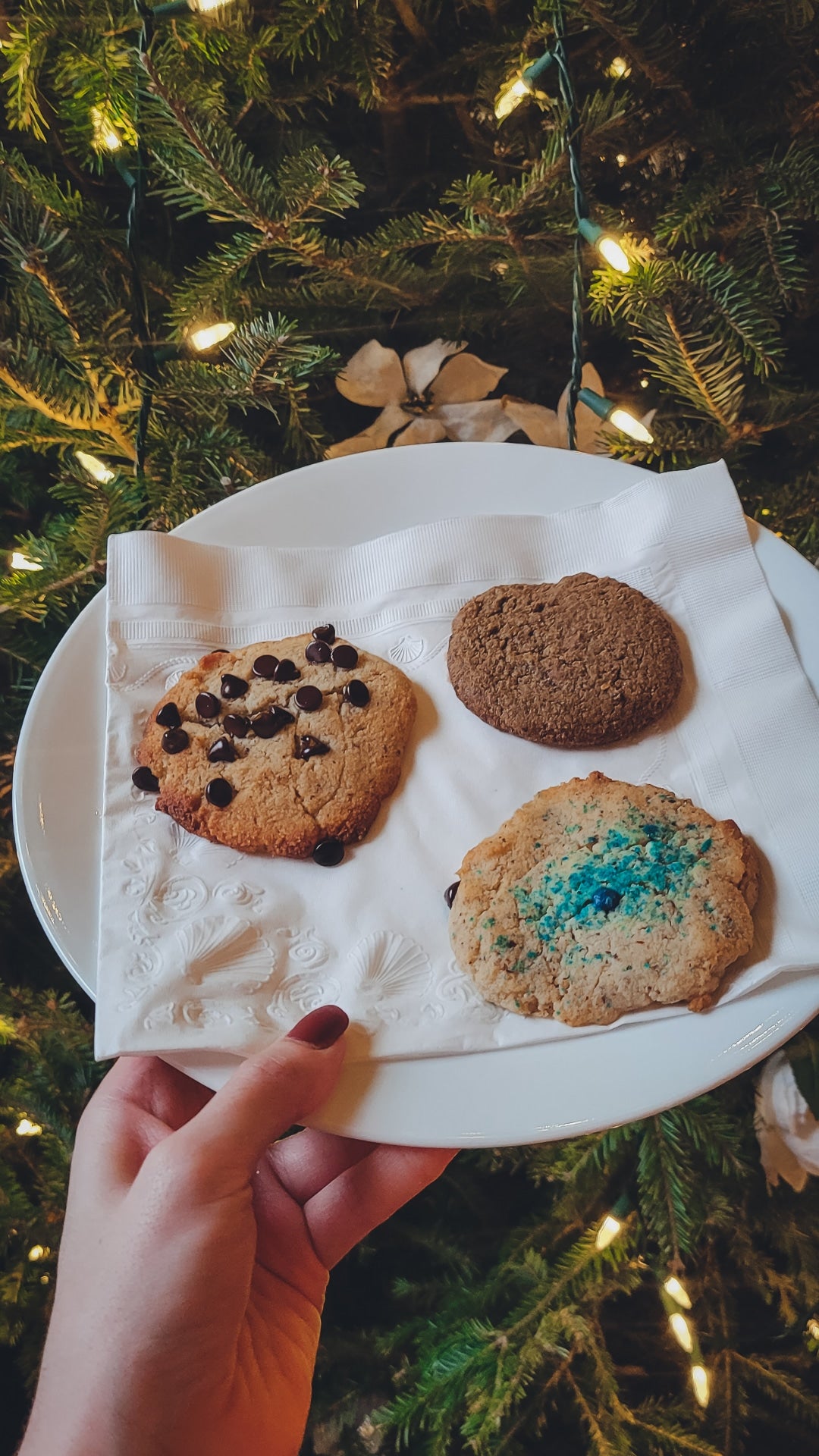 Sugar Free/Grain Free Cookies