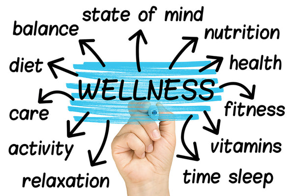 Wellness Snapshot Webinar